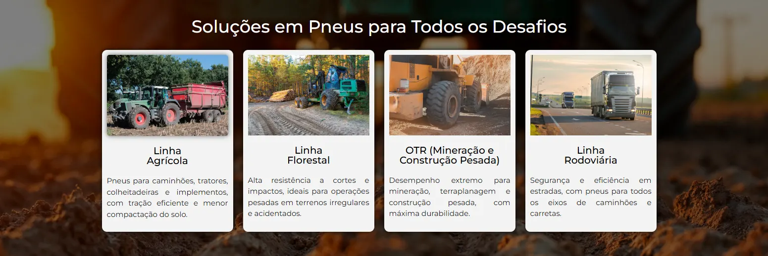Solo Pneus — imagem 5