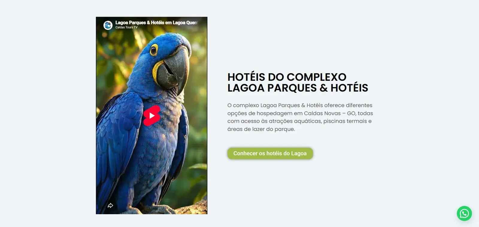 Caldas Tours — imagem 6