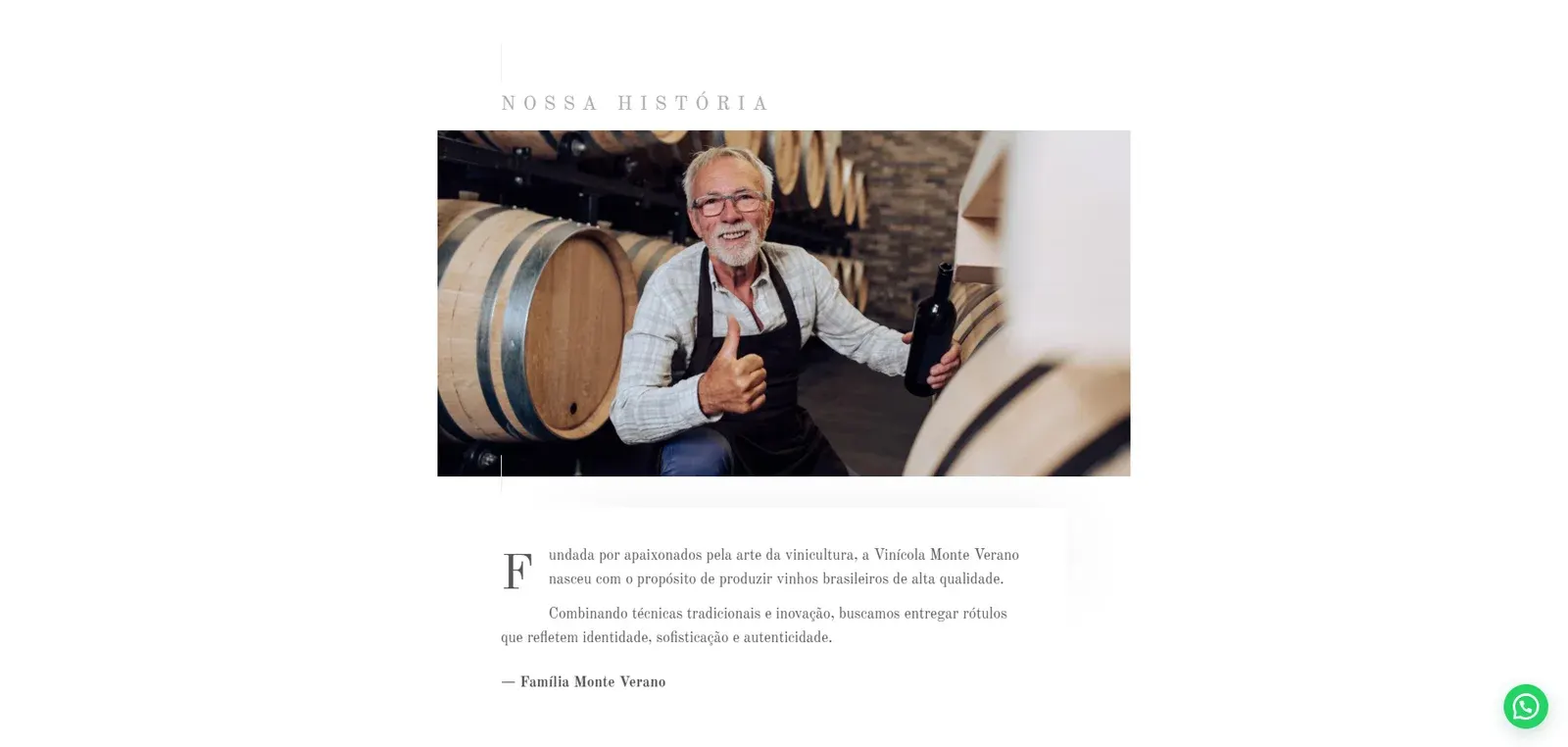 Modelo de site institucional Vinicola - imagem 3