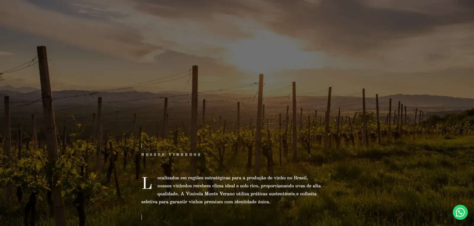 Modelo de site institucional Vinicola - imagem 6