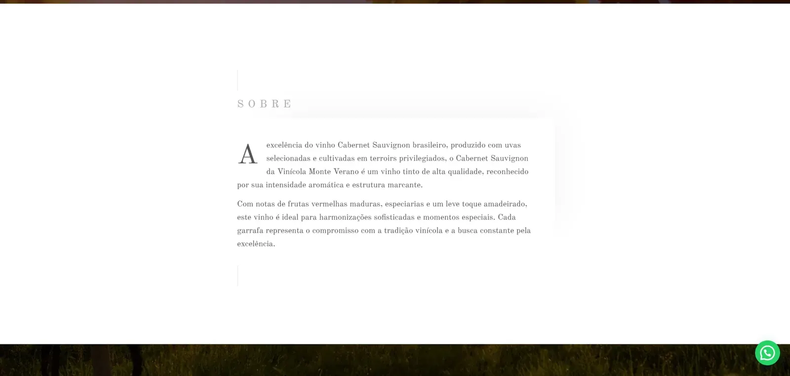 Modelo de site institucional Vinicola - imagem 7